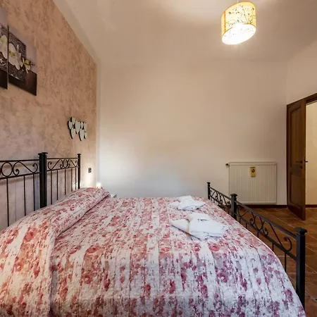 Conce Pisa