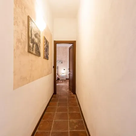 Conce Appartement *